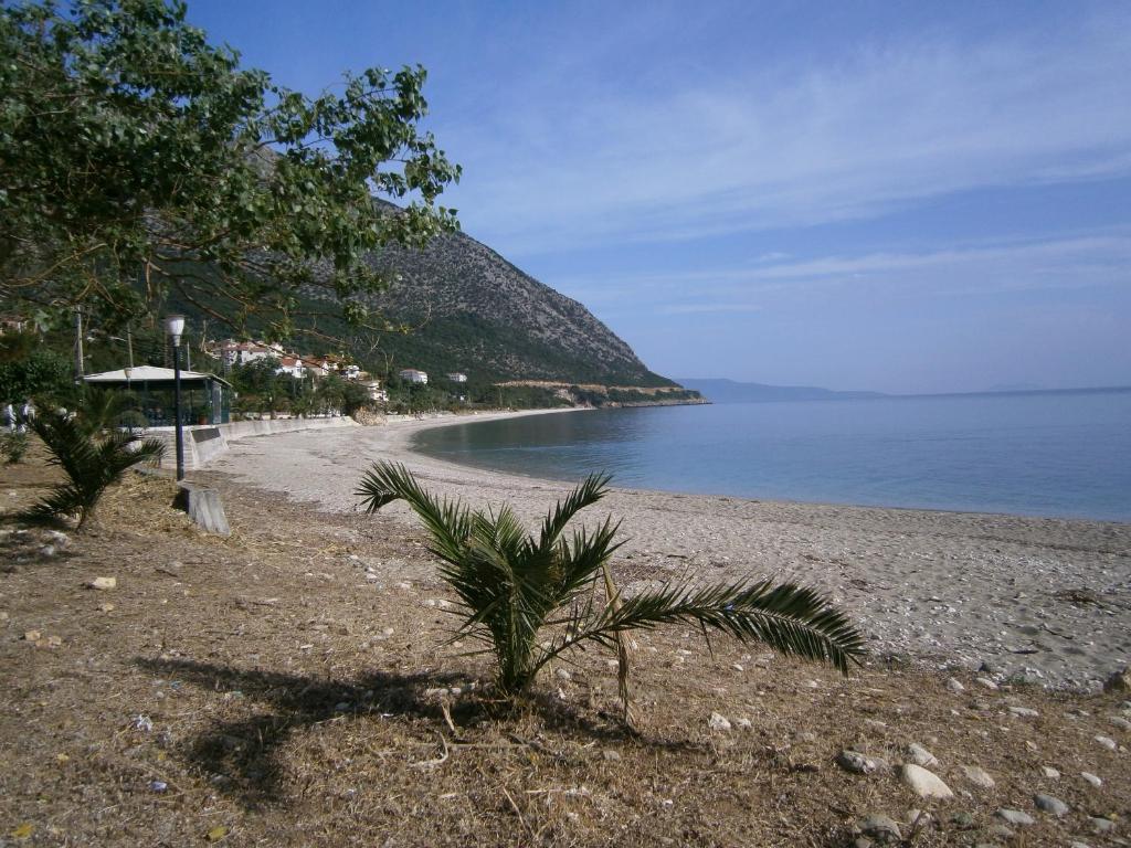 Petros Studios Poros  Esterno foto
